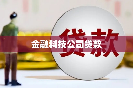 三元金融科技公司贷款