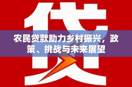 三元农民贷款助力乡村振兴，政策、挑战与未来展望