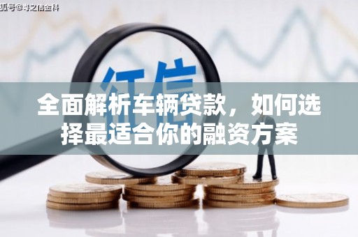 三元全面解析车辆贷款，如何选择最适合你的融资方案