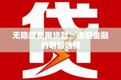 三元无隐藏费用贷款，透明金融的明智选择