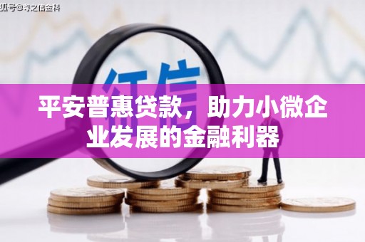 三元平安普惠贷款，助力小微企业发展的金融利器
