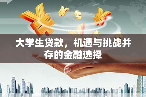 三元大学生贷款，机遇与挑战并存的金融选择