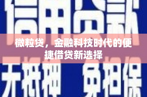 三元微粒贷，金融科技时代的便捷借贷新选择