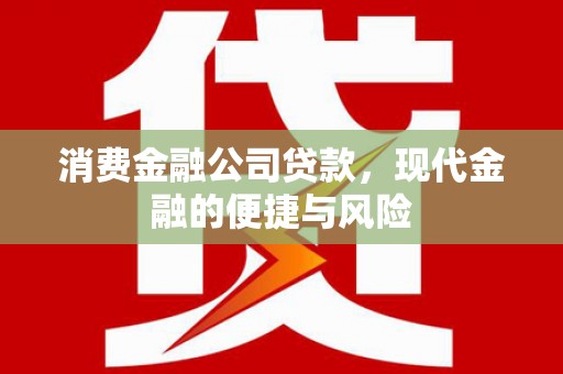 三元消费金融公司贷款，现代金融的便捷与风险
