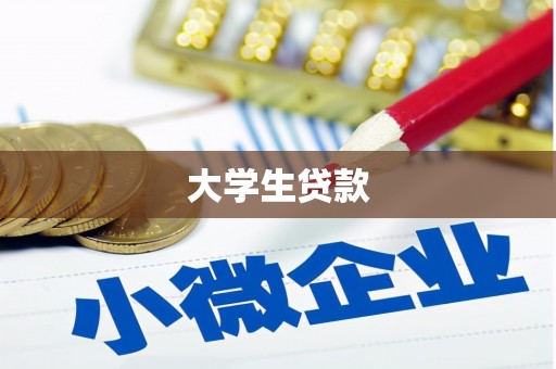 三元大学生贷款