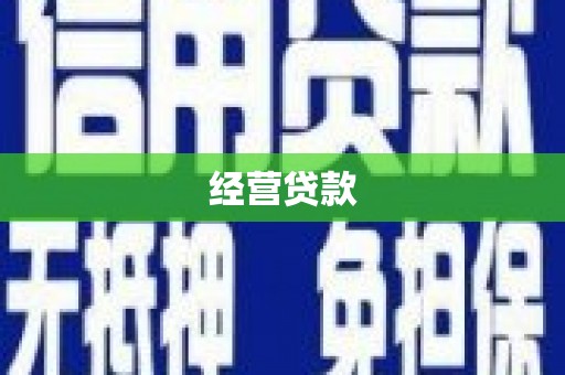 三元经营贷款